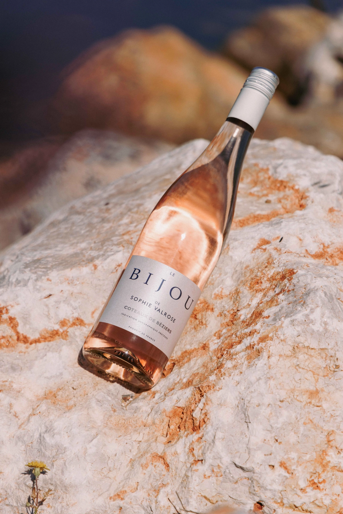 Wednesday Wine Club - Le Bijou de Sophie Valrose rosé - Bijou