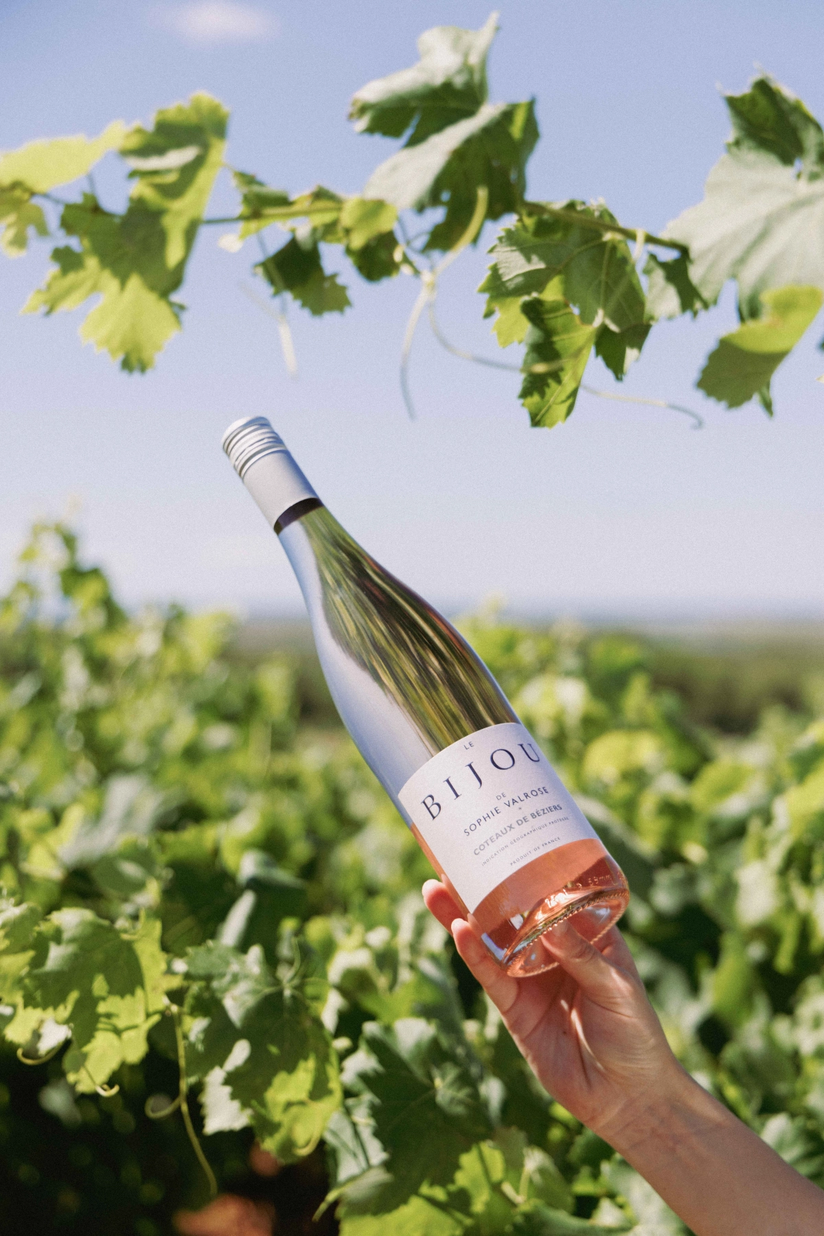 91 points and 5 stars for Le Bijou de Sophie Valrose - Bijou