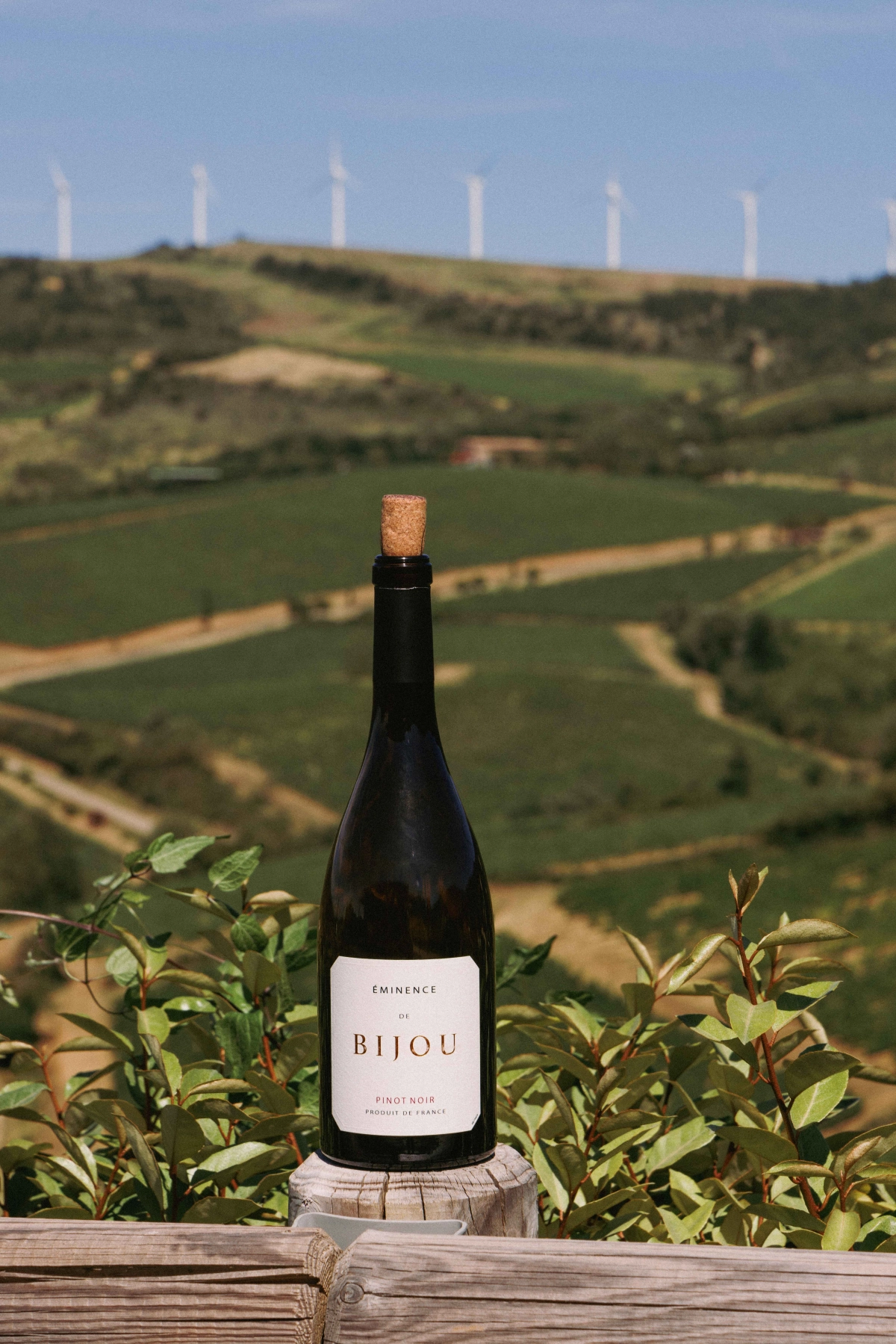 Terroirs - Bijou
